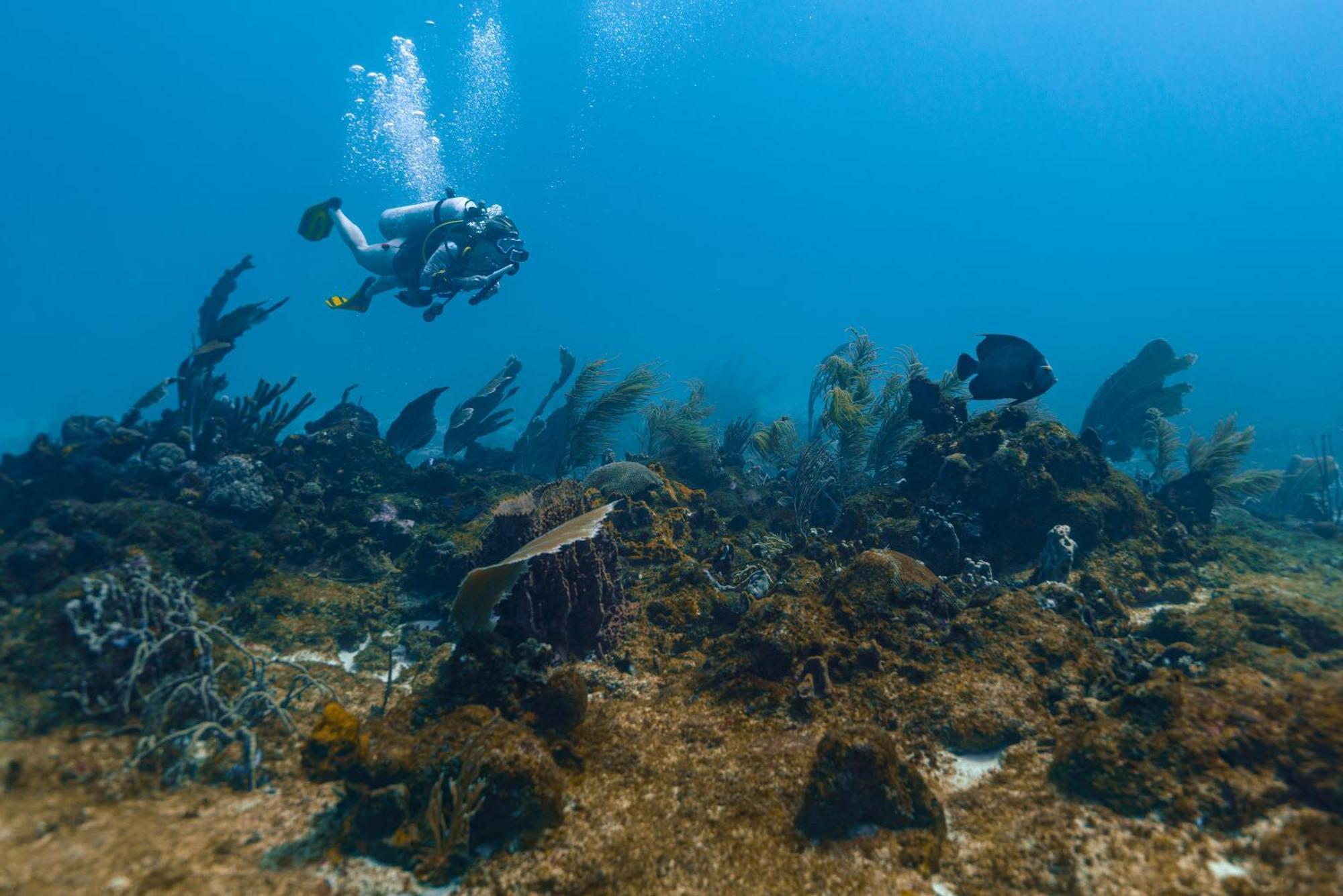 Puerto LimonIsla Fuerte Eco House别墅 外观 照片